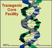 Transgenic Core Facillity graphic
